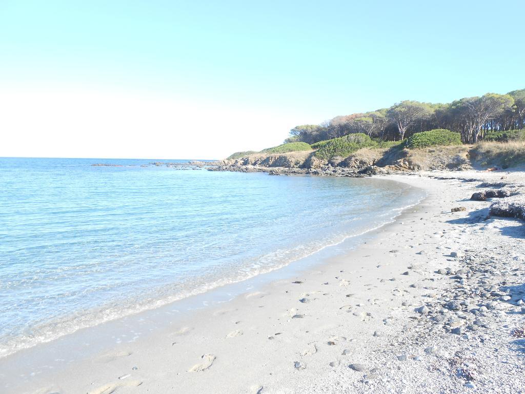 Appartamenti Agrustos Budoni Szoba fotó